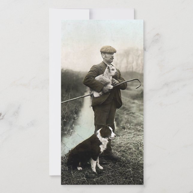 Shepherd met Lamb en Border Collie (Voorkant)