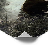 Shepherd met Lamb en Border Collie~Poster Poster (Hoek)