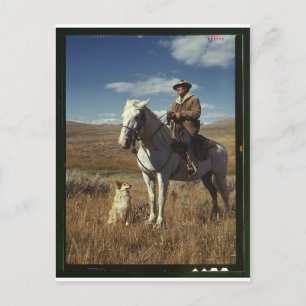 Shepherd met zijn paard en hond op Gravelly Range Briefkaart