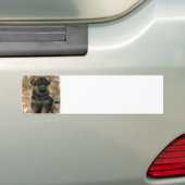 Shepherd Puppy Bumpersticker (Op auto)