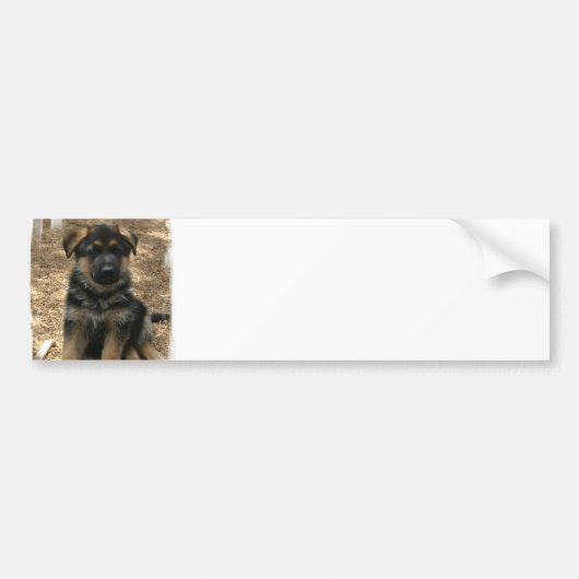 Shepherd Puppy Bumpersticker (Voorkant)