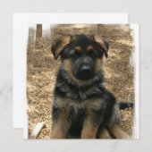 Shepherd Puppy Invitations Kaart (Voorkant / Achterkant)