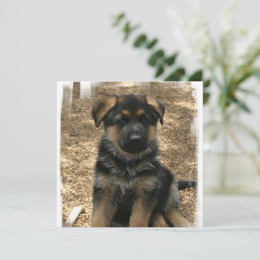 Shepherd Puppy Invitations Kaart (Staand voorkant)