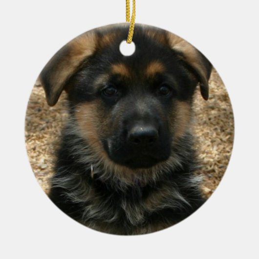 Shepherd Puppy Ornament (Voorkant)