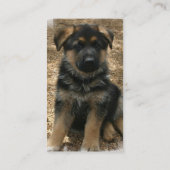 Shepherd Puppy Visitekaartjes (Achterkant)