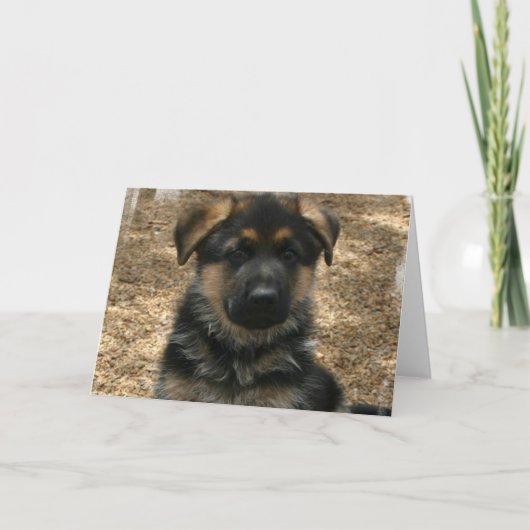 Shepherd Puppy Wenskaart Kaart (Voorkant)