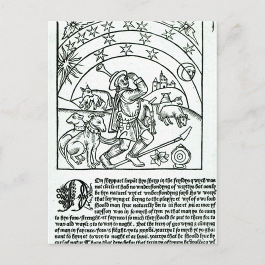Shepherd under Sun, Moon and Stars Briefkaart (Voorkant)