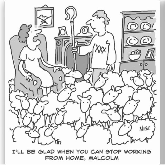 Shepherd Werkt thuis met zijn Sheep Sticker (Voorkant)