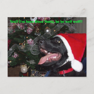 Shepherd xmas briefkaart