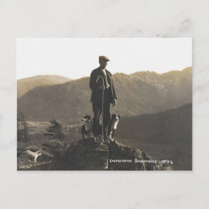 Shepherding Borrowdale 1904 Briefkaart