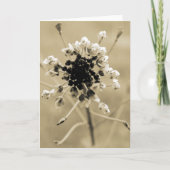 Shepherd's Purse in Sepia Kaart (Voorkant)