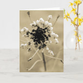 Shepherd's Purse in Sepia Kaart (Gele Bloem)