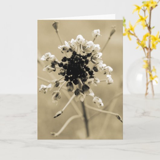 Shepherd's Purse in Sepia Kaart (Gele Bloem)