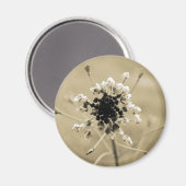 Shepherd's Purse in Sepia Magneet (Voorkant / Achterkant)