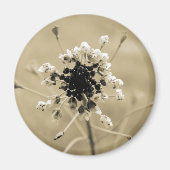 Shepherd's Purse in Sepia Magneet (Voorkant)