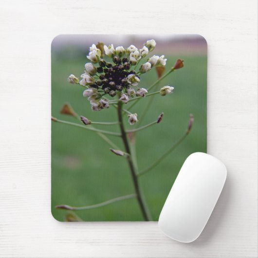 Shepherd's Purse Muismat (Met muis)