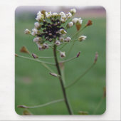 Shepherd's Purse Muismat (Voorkant)