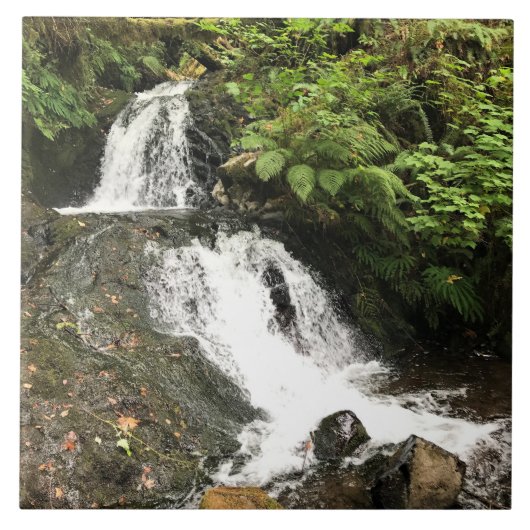 Shepperd's Dell Falls, OR Tegeltje (Voorkant)