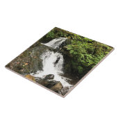 Shepperd's Dell Falls, OR Tegeltje (Zijkant)