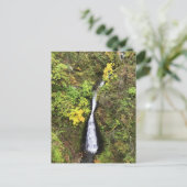 Shepperd's Dell-Herfsten, Columbia River Gorge, OF Briefkaart (Staand voorkant)