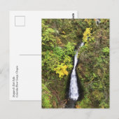 Shepperd's Dell-Herfsten, Columbia River Gorge, OF Briefkaart (Voorkant / Achterkant)