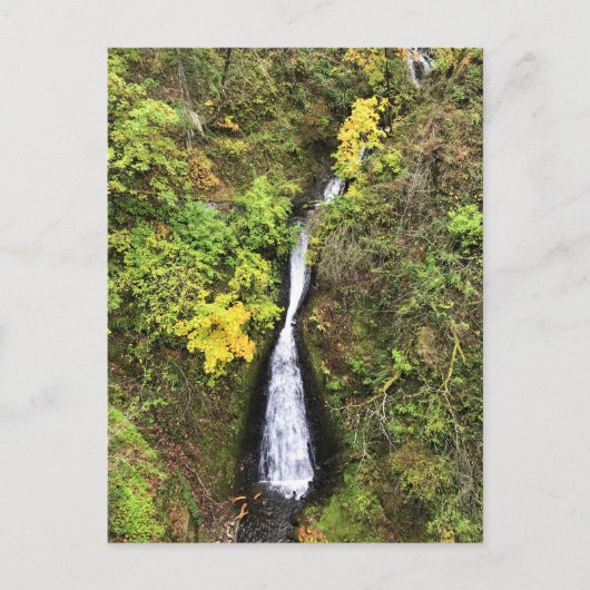 Shepperd's Dell-Herfsten, Columbia River Gorge, OF Briefkaart (Voorkant)