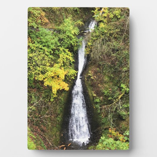 Shepperd's Dell-Herfsten, Columbia River Gorge, OF Fotoplaat (voorkant)