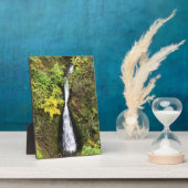 Shepperd's Dell-Herfsten, Columbia River Gorge, OF Fotoplaat (Zijkant)