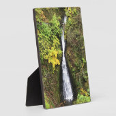 Shepperd's Dell-Herfsten, Columbia River Gorge, OF Fotoplaat (Zijkant)