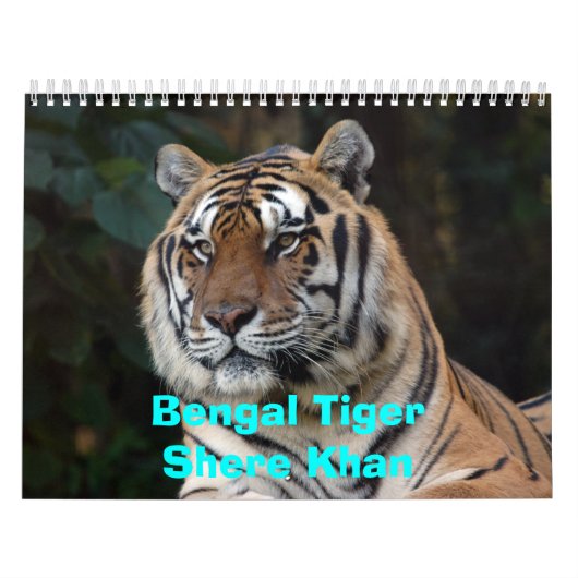 Shere-Khan Calendar, Bengal TigerShere Khan Kalender (Hoes)