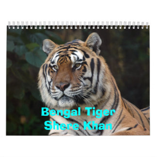 Shere-Khan Calendar, Bengal TigerShere Khan Kalender