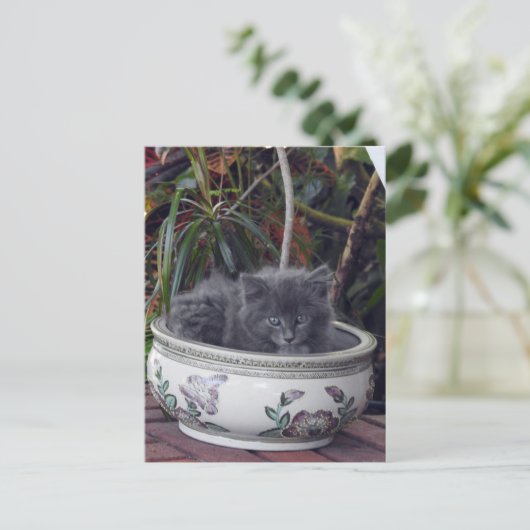 Sherlock Potted Briefkaart (Staand voorkant)