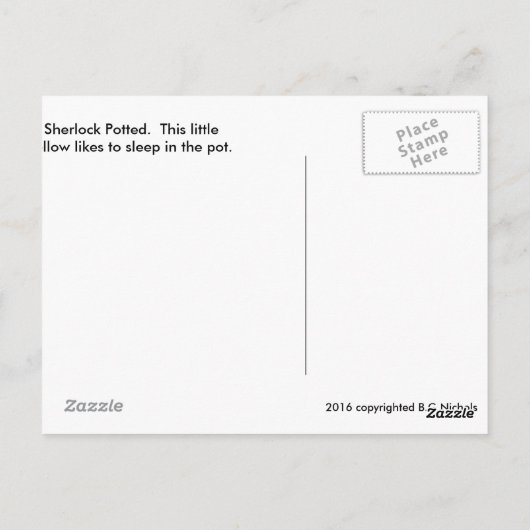 Sherlock Potted Briefkaart (Achterkant)