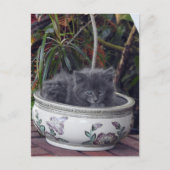 Sherlock Potted Briefkaart (Voorkant)