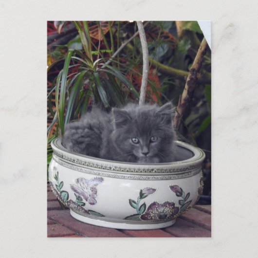 Sherlock Potted Briefkaart (Voorkant)