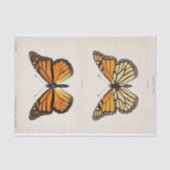Sherman F. Denton | Monarch Butterfly Tissuepapier (Voorkant)