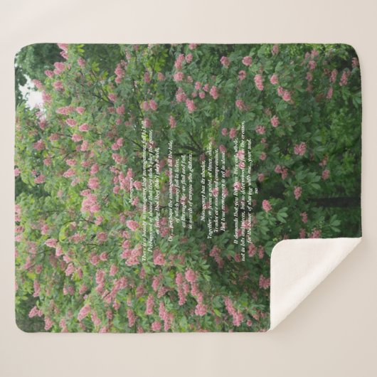 Sherpa Blanket Deken (Voorkant (horizontaal))