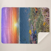 Sherpa Blanket Deken (Voorkant (horizontaal))