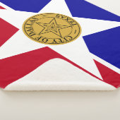 Sherpa Blanket met vlag van Dallas Deken (3/4)