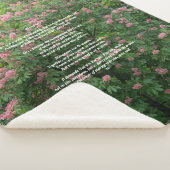 Sherpa Blanket Sherpa Deken (3/4)