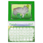 SHERRIEY'S CATS KALENDER (Mar 2027)