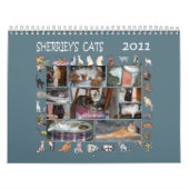 SHERRIEY'S CATS KALENDER (Hoes)