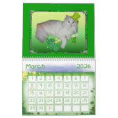 SHERRIEY'S CATS KALENDER (Mar 2026)