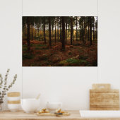 Sherwood Forest Print (Keuken)
