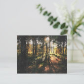 Sherwood Forest Sunset Briefkaart (Staand voorkant)