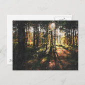 Sherwood Forest Sunset Briefkaart (Voorkant / Achterkant)