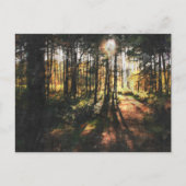 Sherwood Forest Sunset Briefkaart (Voorkant)