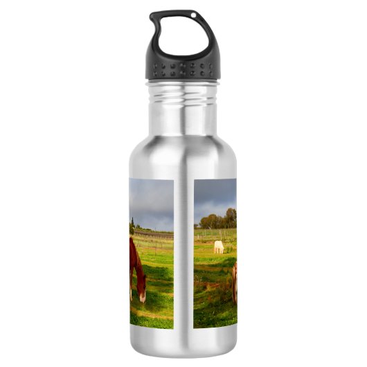 Shetland Ponies and Chestnut, 532 ml waterfles Waterfles (Achterkant)