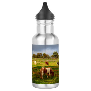 Shetland Ponies and Chestnut, 532 ml waterfles Waterfles