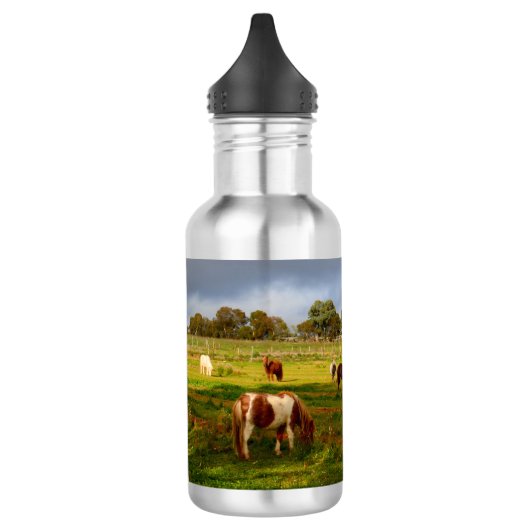 Shetland Ponies and Chestnut, 532 ml waterfles Waterfles (Links)